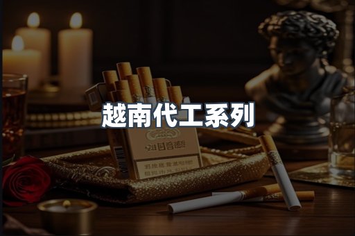 越南代工系列
